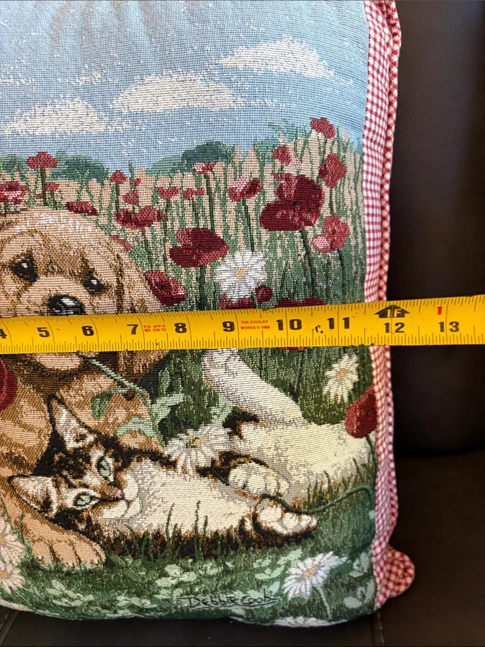 Pillow with Dog & Cat